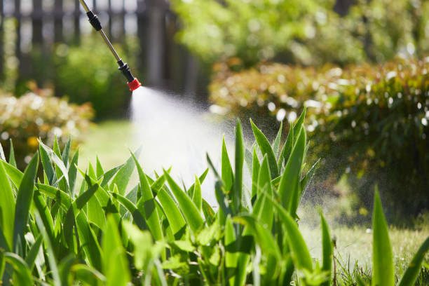 24/7 Emergency Cockroach Control experts in Braidwood, IL