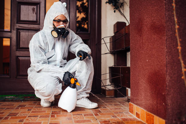 Reliable Cockroach Control contractor in Braidwood, IL by Nex Pest Control