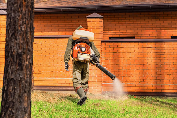 Trusted Ant Control service in Braidwood, IL - Nex Pest Control